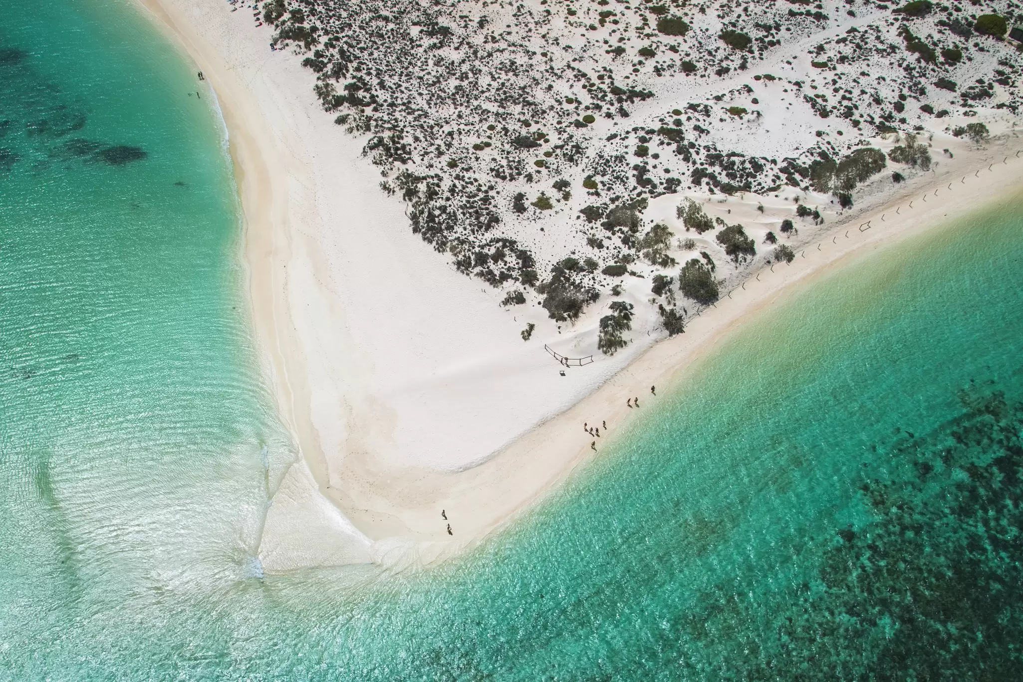 Aerial view of crystal clear turquoise waters and some dune shrubs along the coast near Ningaloo Reef. 