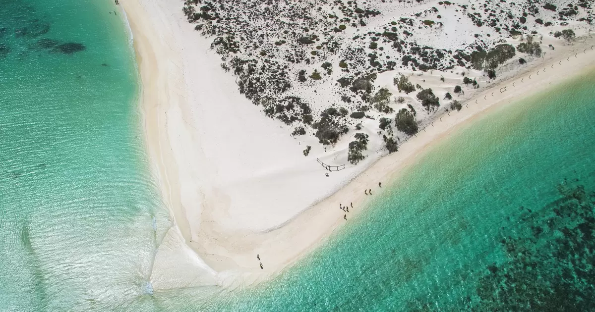 A guide to Australia's Ningaloo Reef
