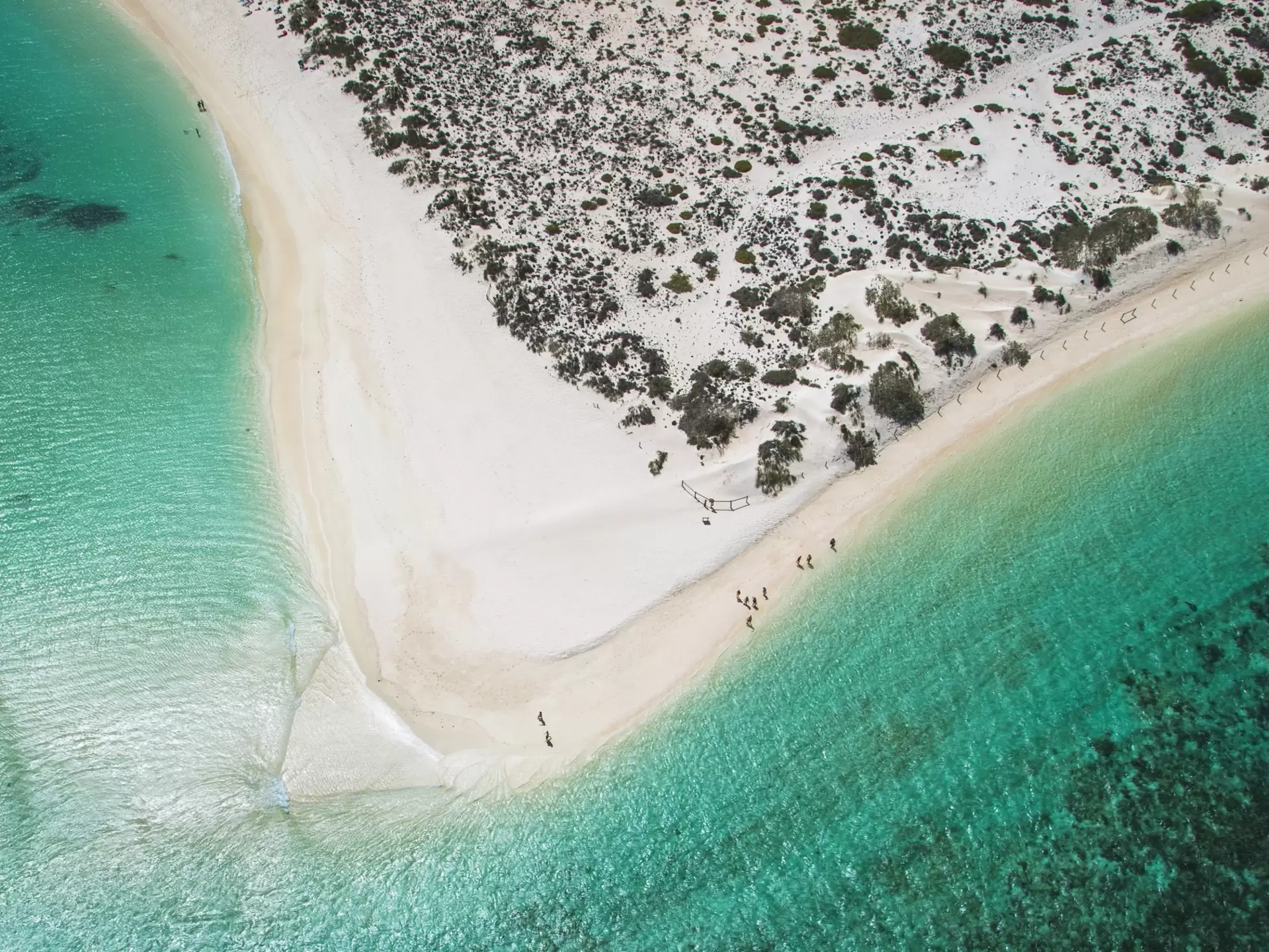 Aerial view of crystal clear turquoise waters and some dune shrubs along the coast near Ningaloo Reef. 