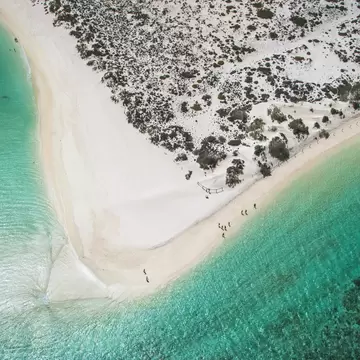 Aerial view of crystal clear turquoise waters and some dune shrubs along the coast near Ningaloo Reef. 