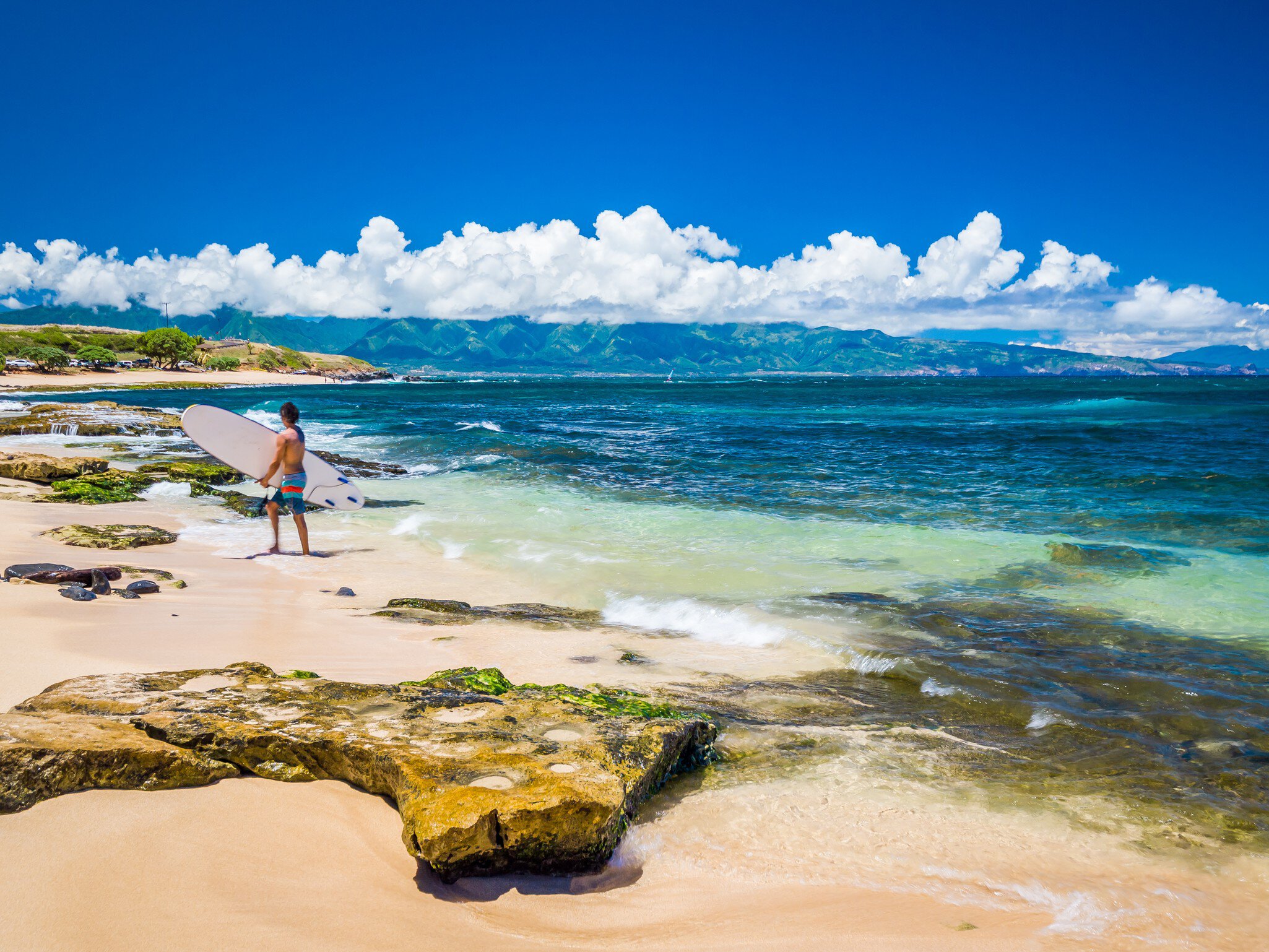 Ho'okipa Beach Park in Maui Hawaii, renowned windsurfing and surf site for wind, big waves and big Turtles drying on sand. Snorkeling paradise for coral reefs.