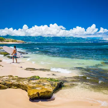 Ho'okipa Beach Park in Maui Hawaii, renowned windsurfing and surf site for wind, big waves and big Turtles drying on sand. Snorkeling paradise for coral reefs.