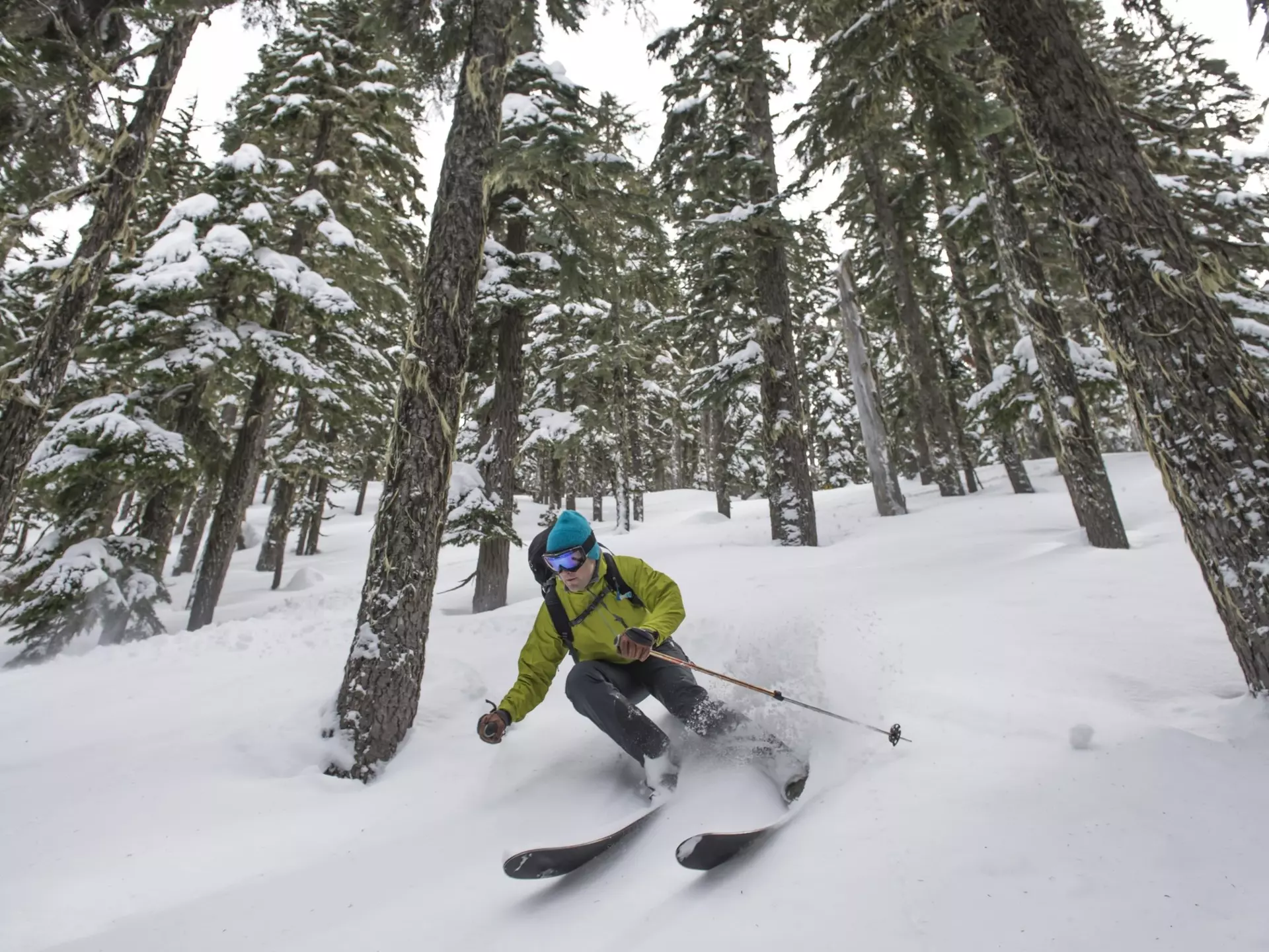Backcountry skier in the trees near Stevens Pass, Washington - stock photo
531195095
25-29 Years, adventure, Cold Temperature, Conquering Adversity, day, Forest, freedom, Frozen, Full Length, Horizontal, Horizontal, Knit Hat, landscape, Looking Away, Motion, One Person, One Young Man Only, outdoors, Powder Snow, Scenics, Ski Goggles, Skiing, Ski Jacket, Ski Pole, snow, speed, Stevens Pass, Travel Destinations, Tree, USA, Warm Clothing, Washington State, winter, Winter Sport, Young Adult