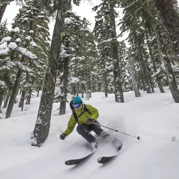 Backcountry skier in the trees near Stevens Pass, Washington - stock photo
531195095
25-29 Years, adventure, Cold Temperature, Conquering Adversity, day, Forest, freedom, Frozen, Full Length, Horizontal, Horizontal, Knit Hat, landscape, Looking Away, Motion, One Person, One Young Man Only, outdoors, Powder Snow, Scenics, Ski Goggles, Skiing, Ski Jacket, Ski Pole, snow, speed, Stevens Pass, Travel Destinations, Tree, USA, Warm Clothing, Washington State, winter, Winter Sport, Young Adult