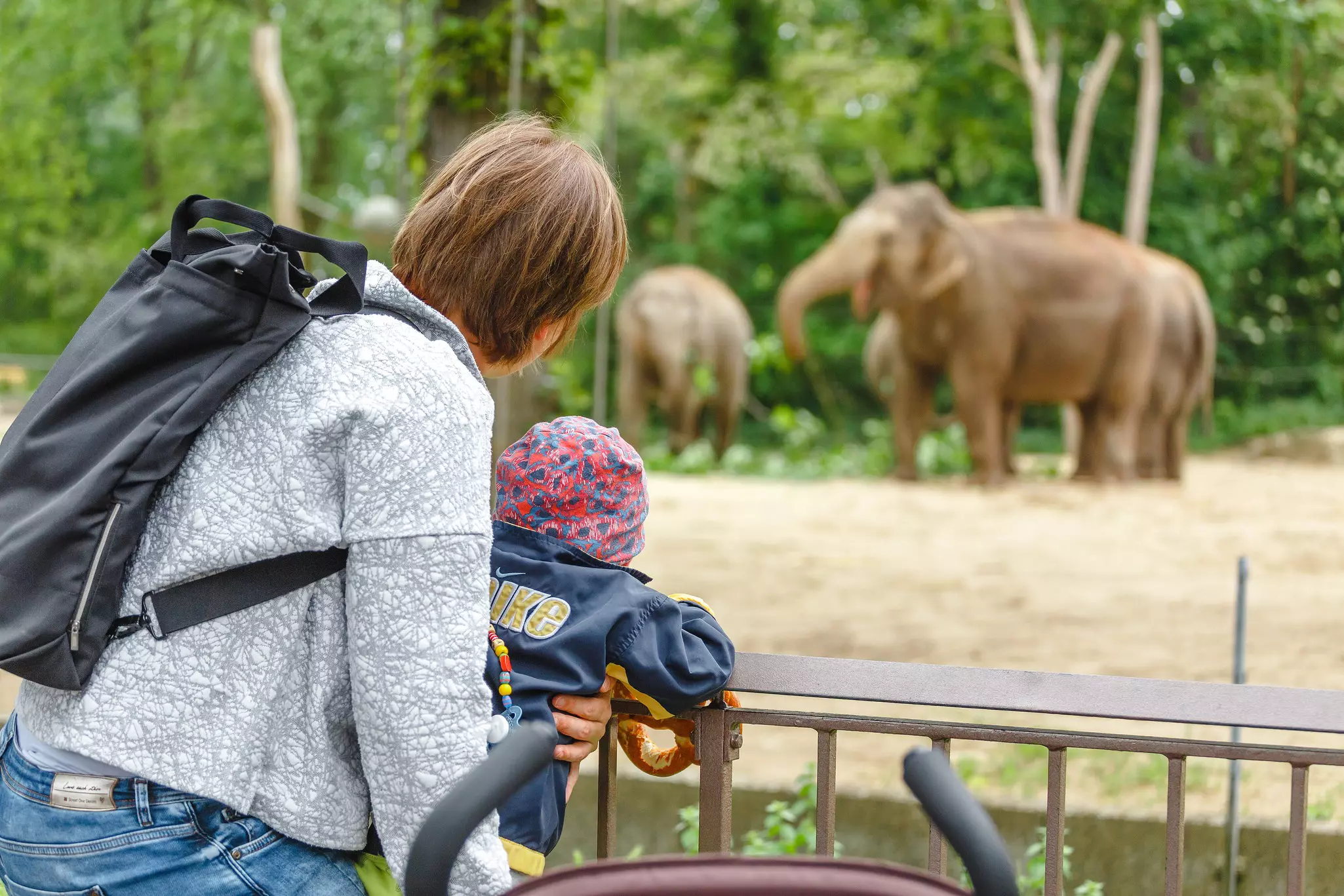 Family watching elephants