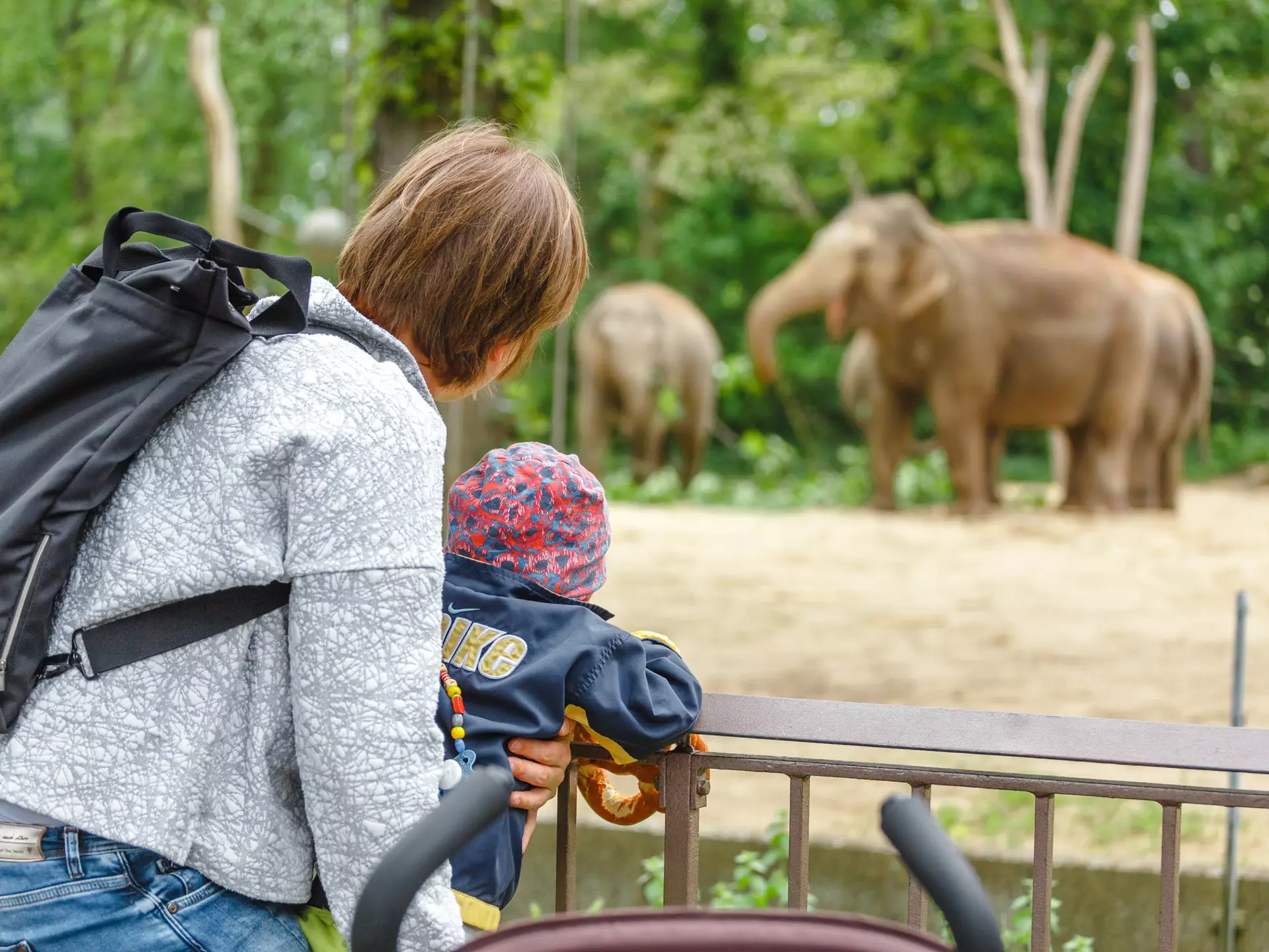 Family watching elephants
