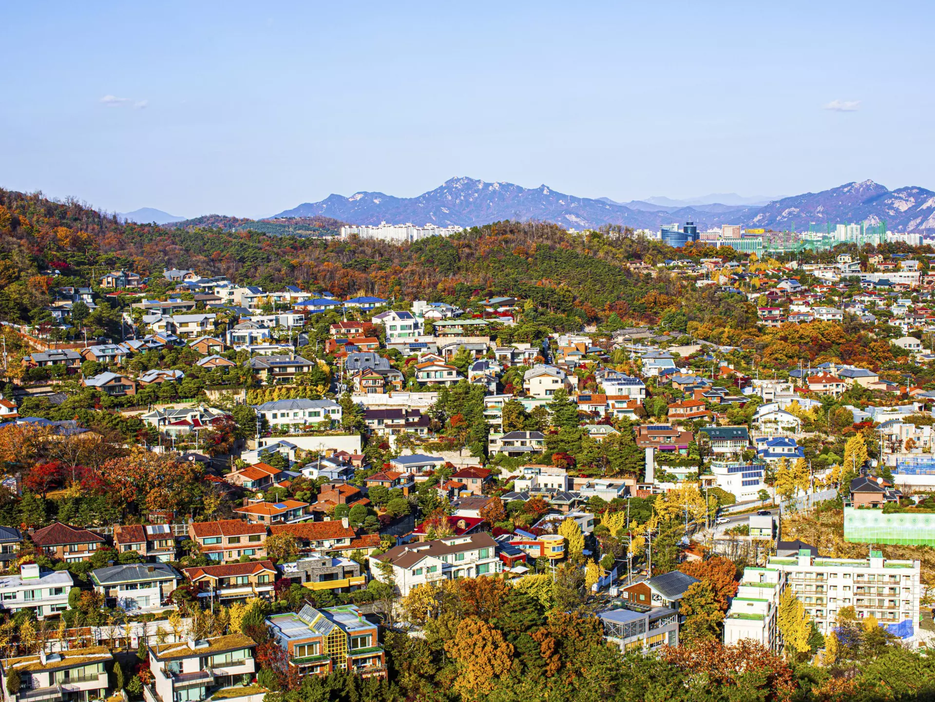 Bukaksan and the leafy Seongbuk-dong neighborhood. Stock for you/Shutterstock