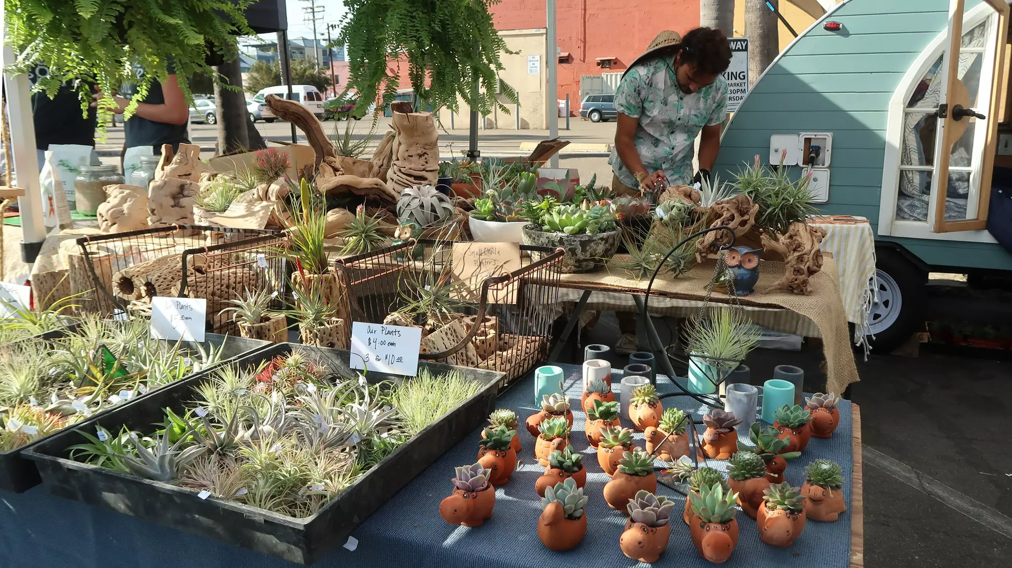 A local succulent and decorative plant vendor adjusts his wares at the North Park Farmer's Market. S and S Imaging/Shutterstock