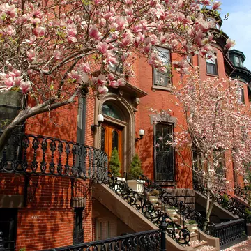 BOSTON SPRING