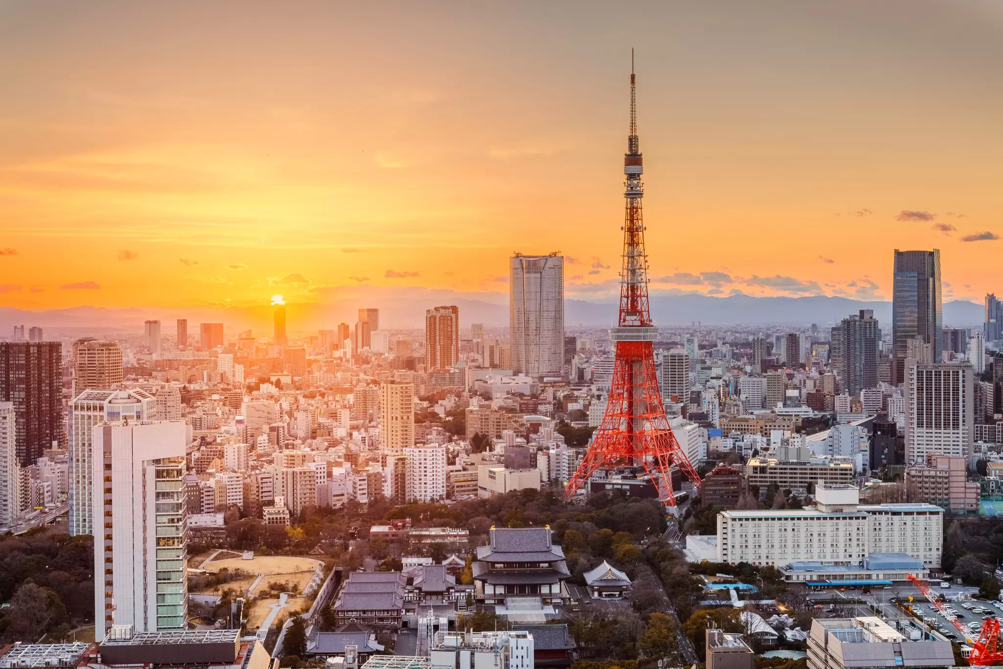 Tokyo, Japan modern urban skyline at sunset overlooking the tower.  License Type: media  Download Time: 2023-11-28T15:33:05.000Z  User: nic.dhoedt_lonelyplanet  Is Editorial: No  purchase_order:   