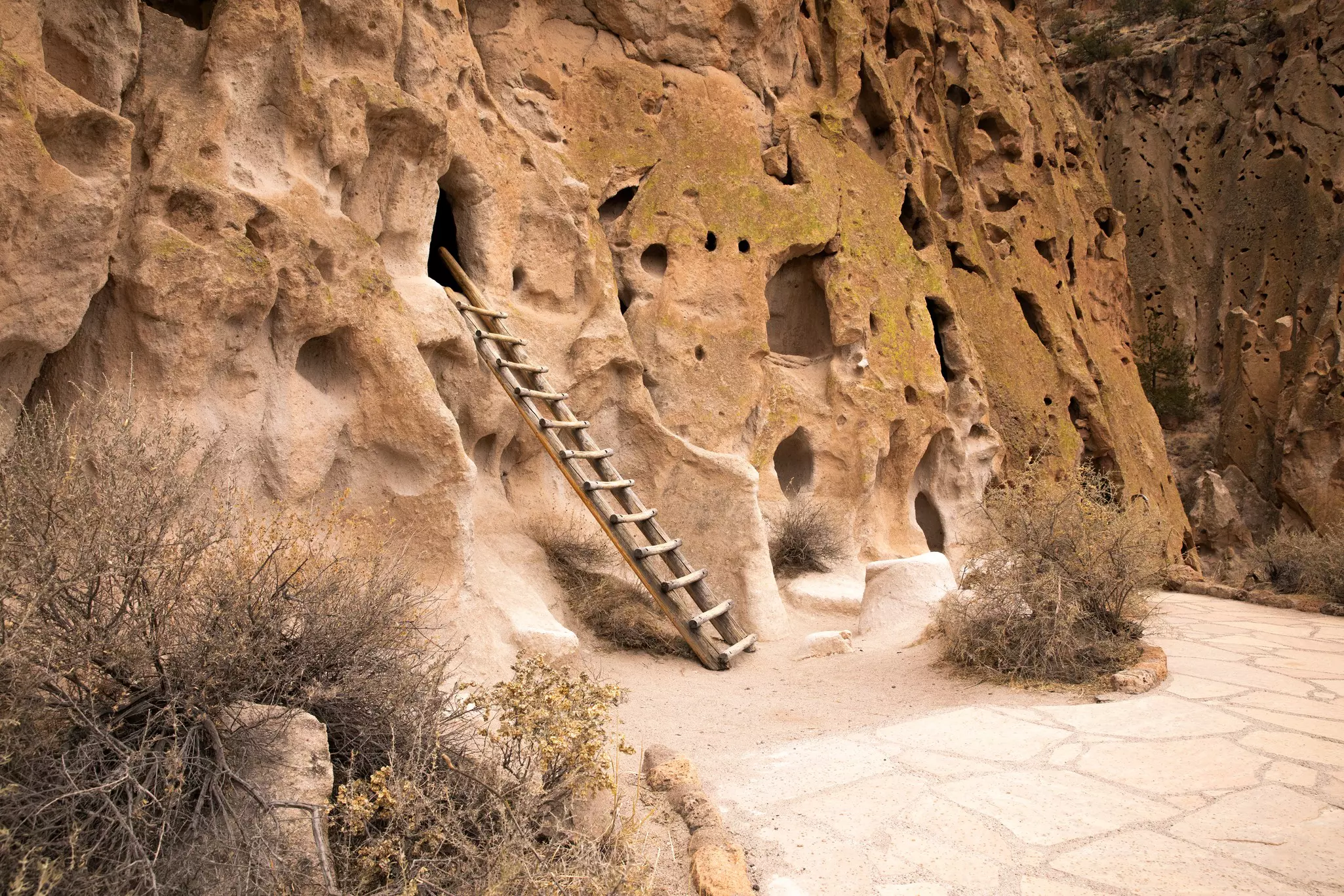 Talus House Cliff Dwelling is one of many well-preserved ancient structures at Bandelier National Monument © Avi Farber / Lonely Planet