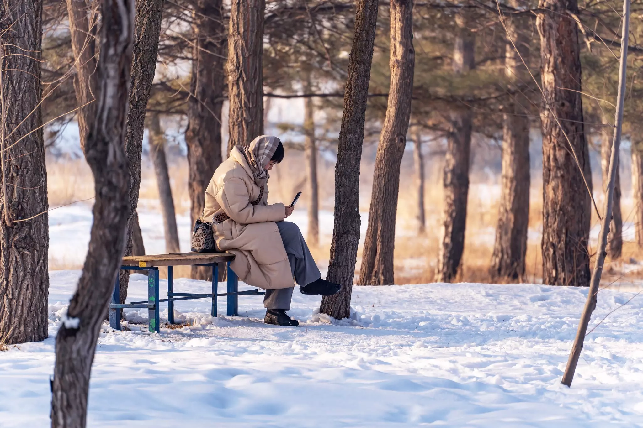 A woman sits on a bench in a snowy park in winter among the trees and looks attentively at her smartphone