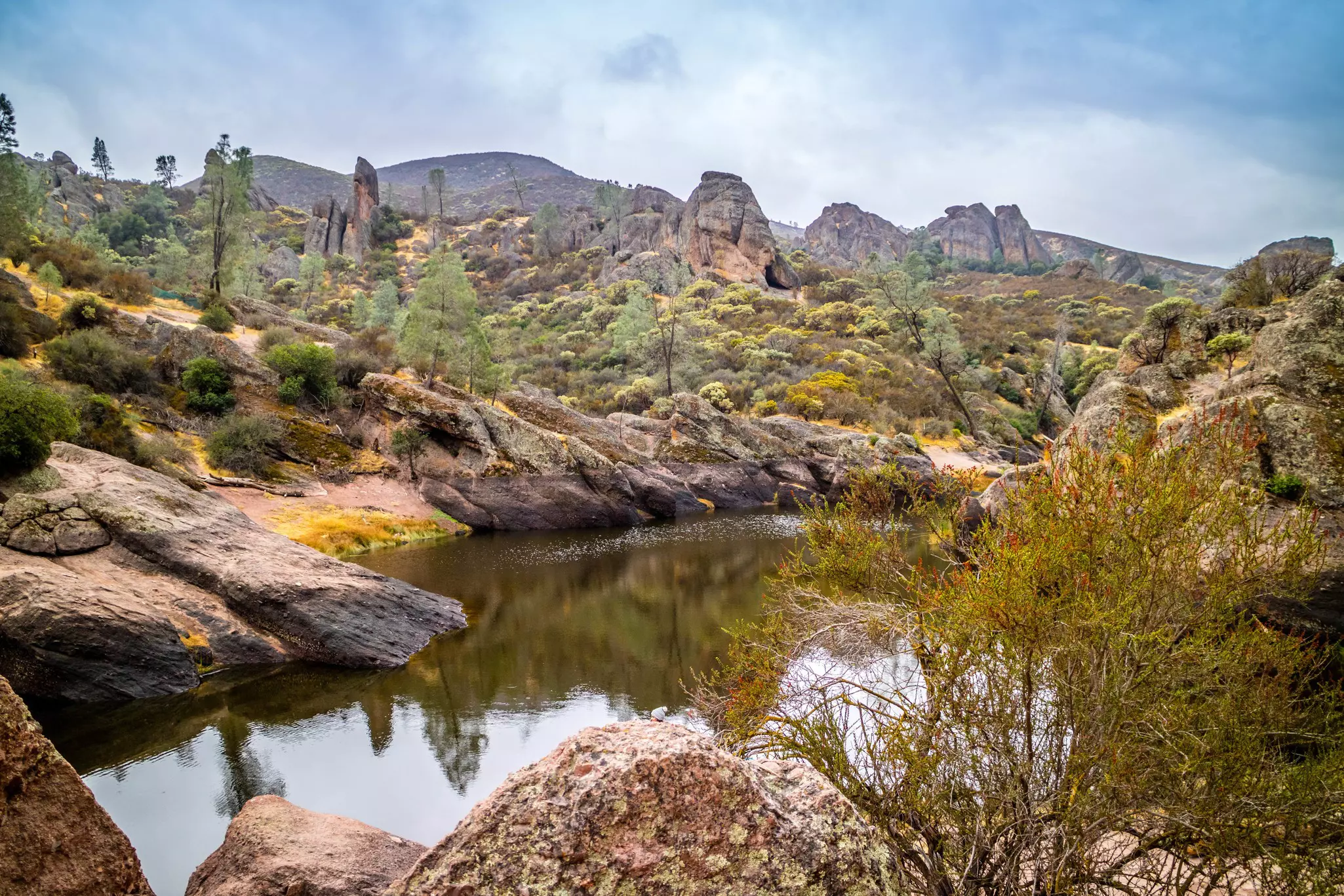 The Bear Gulch Reservoir in Pinnacles National Park.