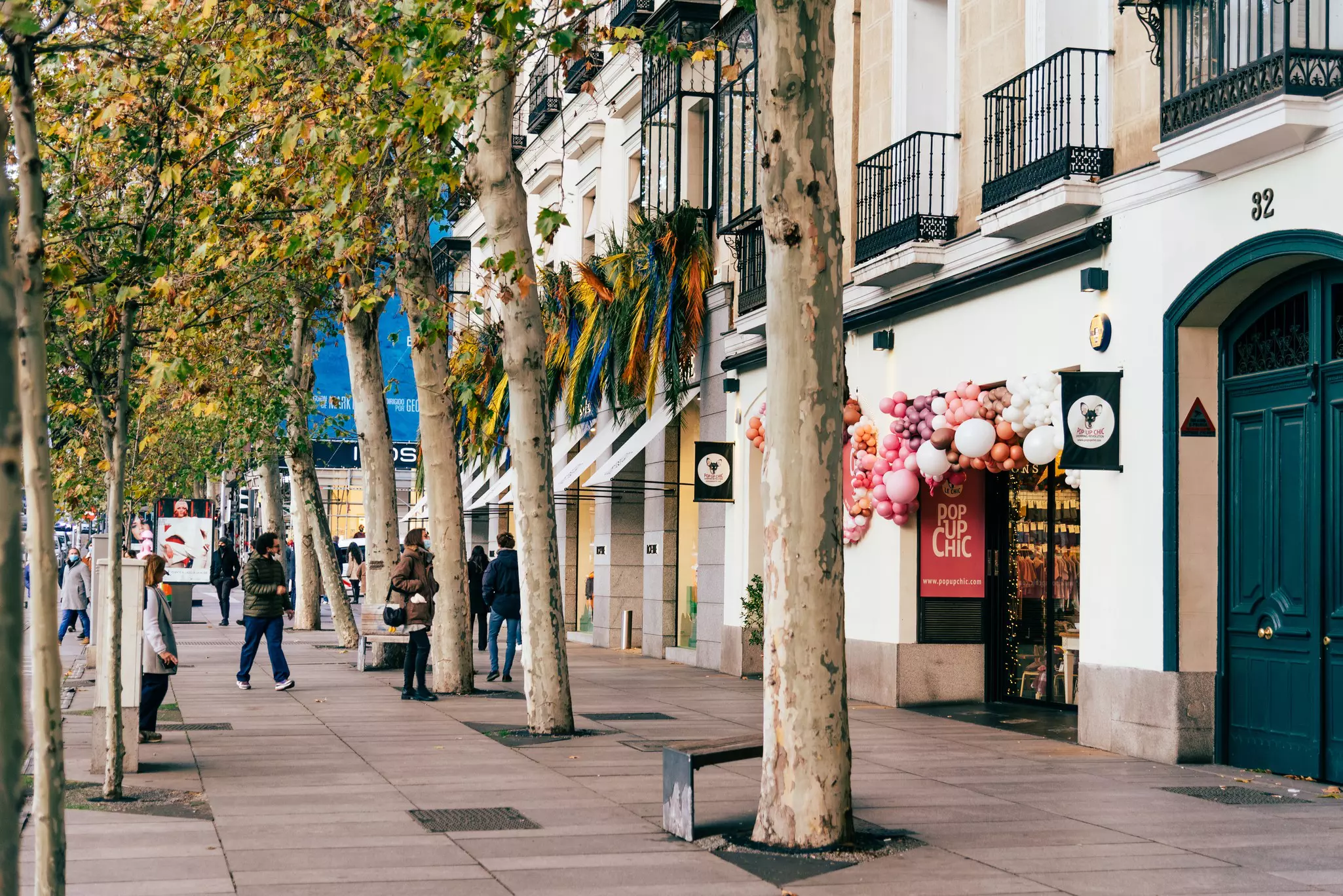 A view of a sidewalk in a city, with large trees growing in front of buildings with shops on the street level.
