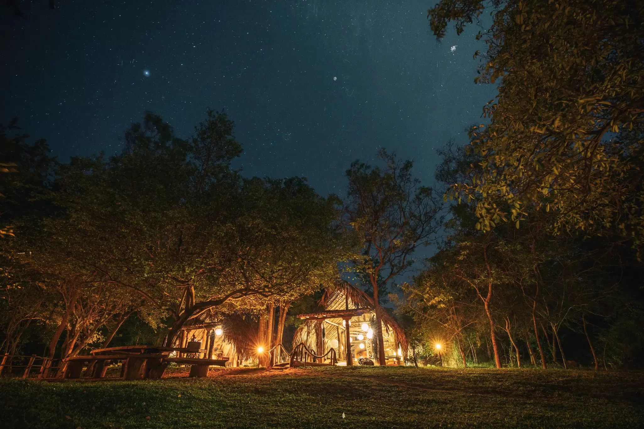 Warmly lit thatched-roof wooden lodge glowing among trees under a starry night sky, with picnic benches nearby