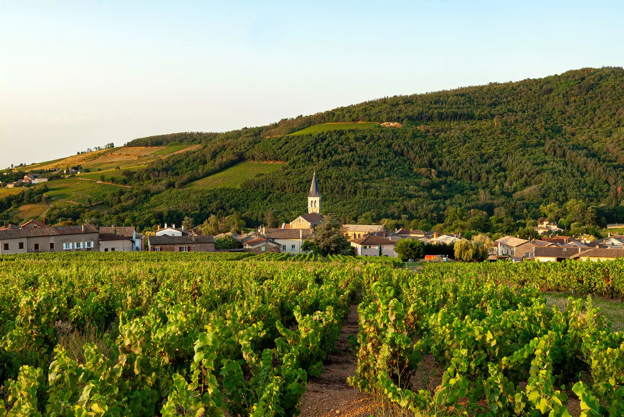 Village of JuliÃ©nas in the Beaujolais vineyard in the RhÃ´ne department in France