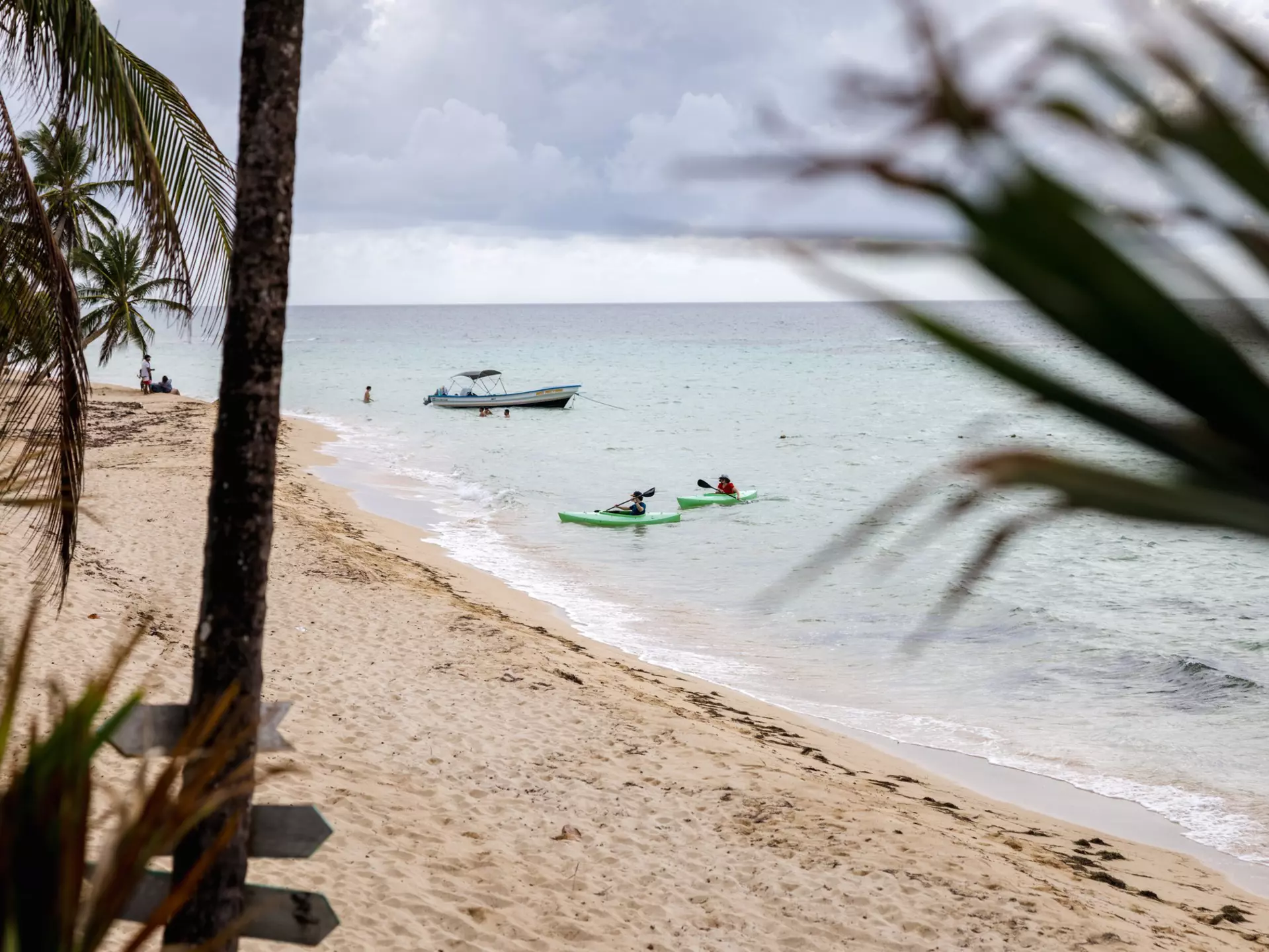 A wide view through trees of a beach and a pair of kayakers in the water just offshore.