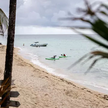 A wide view through trees of a beach and a pair of kayakers in the water just offshore.