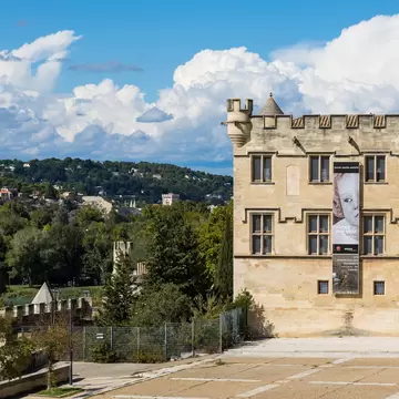 Facade of the Petit Palais from Place du Palais in Avignon, France. 