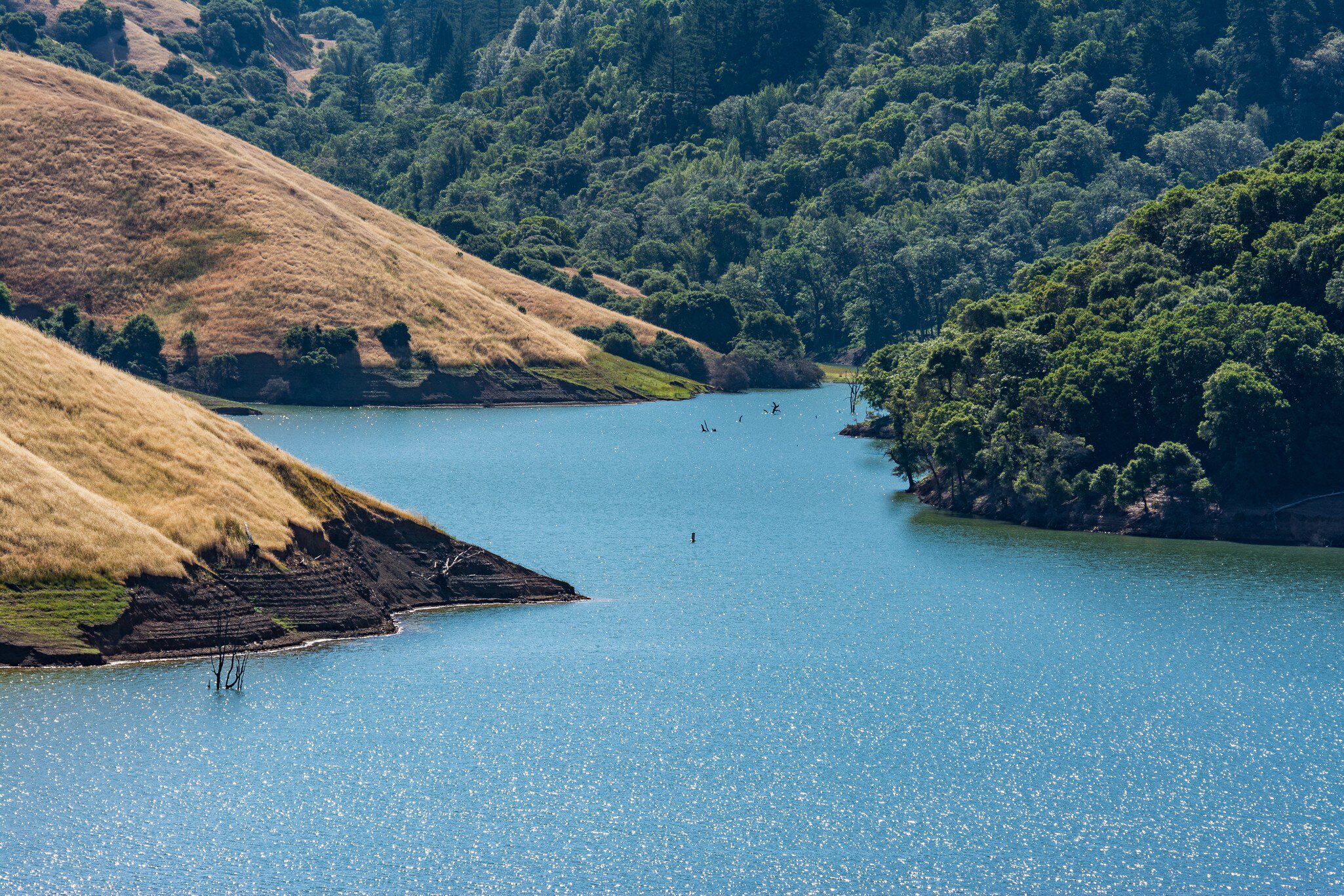 Lake Sonoma, Dry Creek Arm, License Type: media, Download Time: 2026-08-11T19:40:25.000Z, User: LP_NZhan, Editorial: false, purchase_order: 65050 - Digital Destinations and Articles, job: App Content , client: Lonely Planet App, other: Nadine Zhan