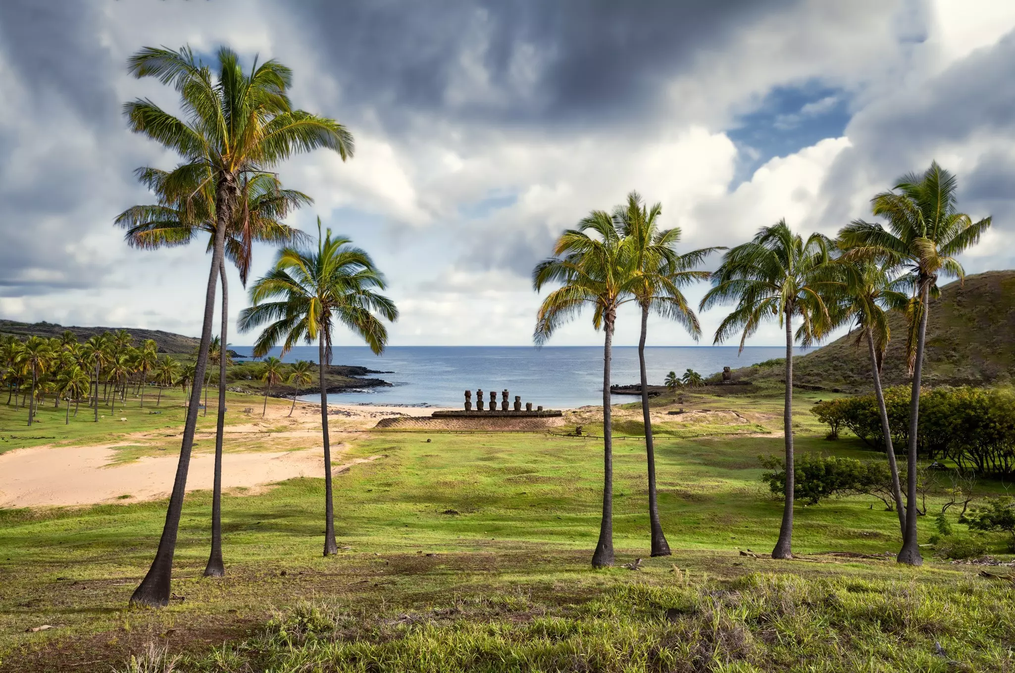 A line of moai statues on the beach at Anakena with palm trees above. Rapa Nui (Easter Island), Chile.