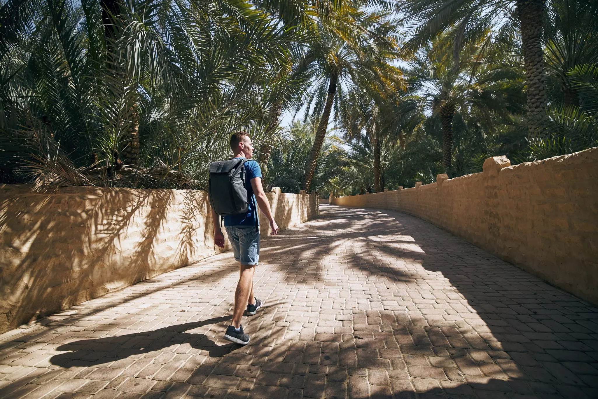 A solo man carrying a backpack walks down a paved path. There are dense areas of palm trees either side of the path
