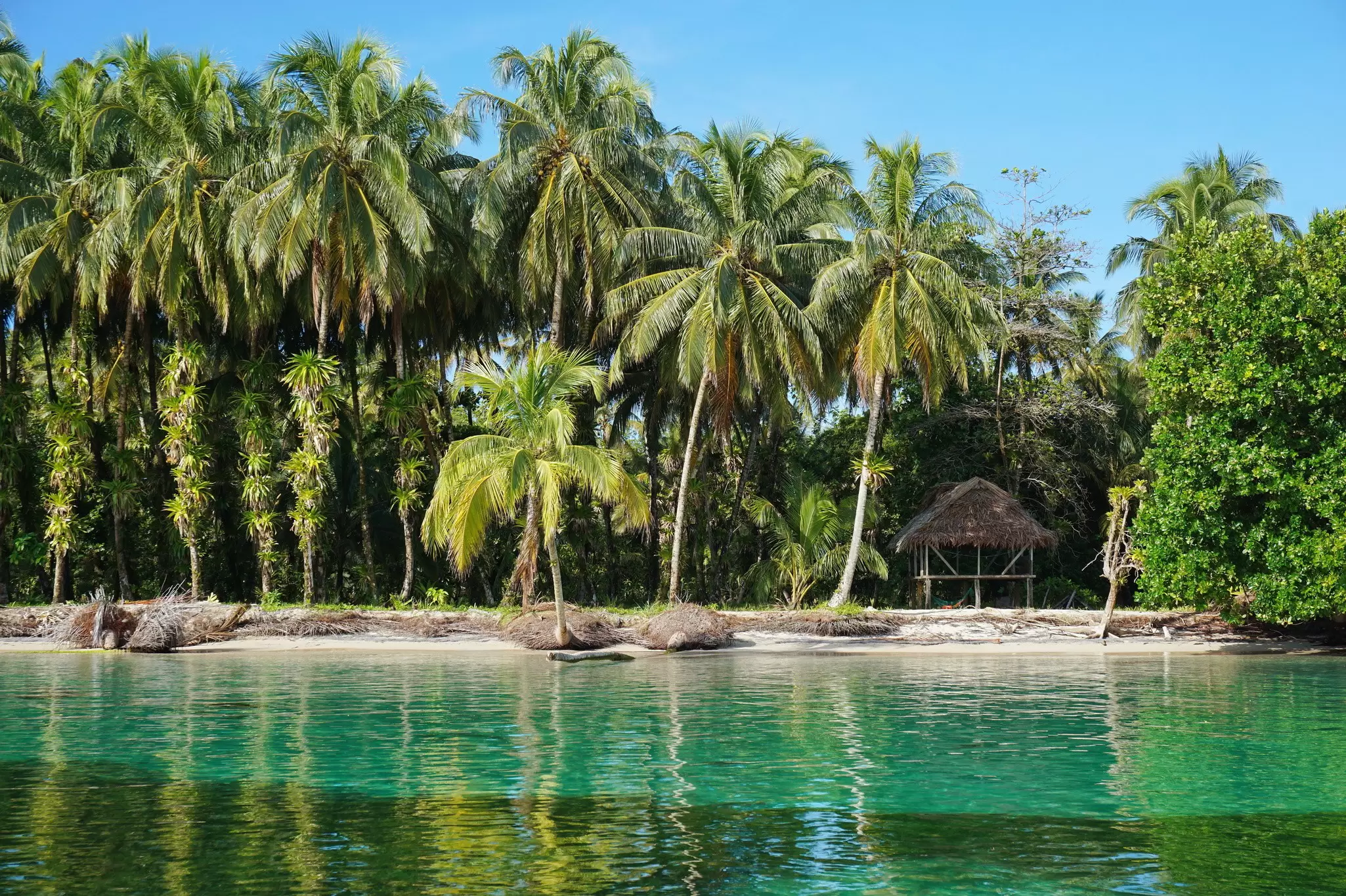 Bocas del Toro, Panama. Damsea / Shutterstock