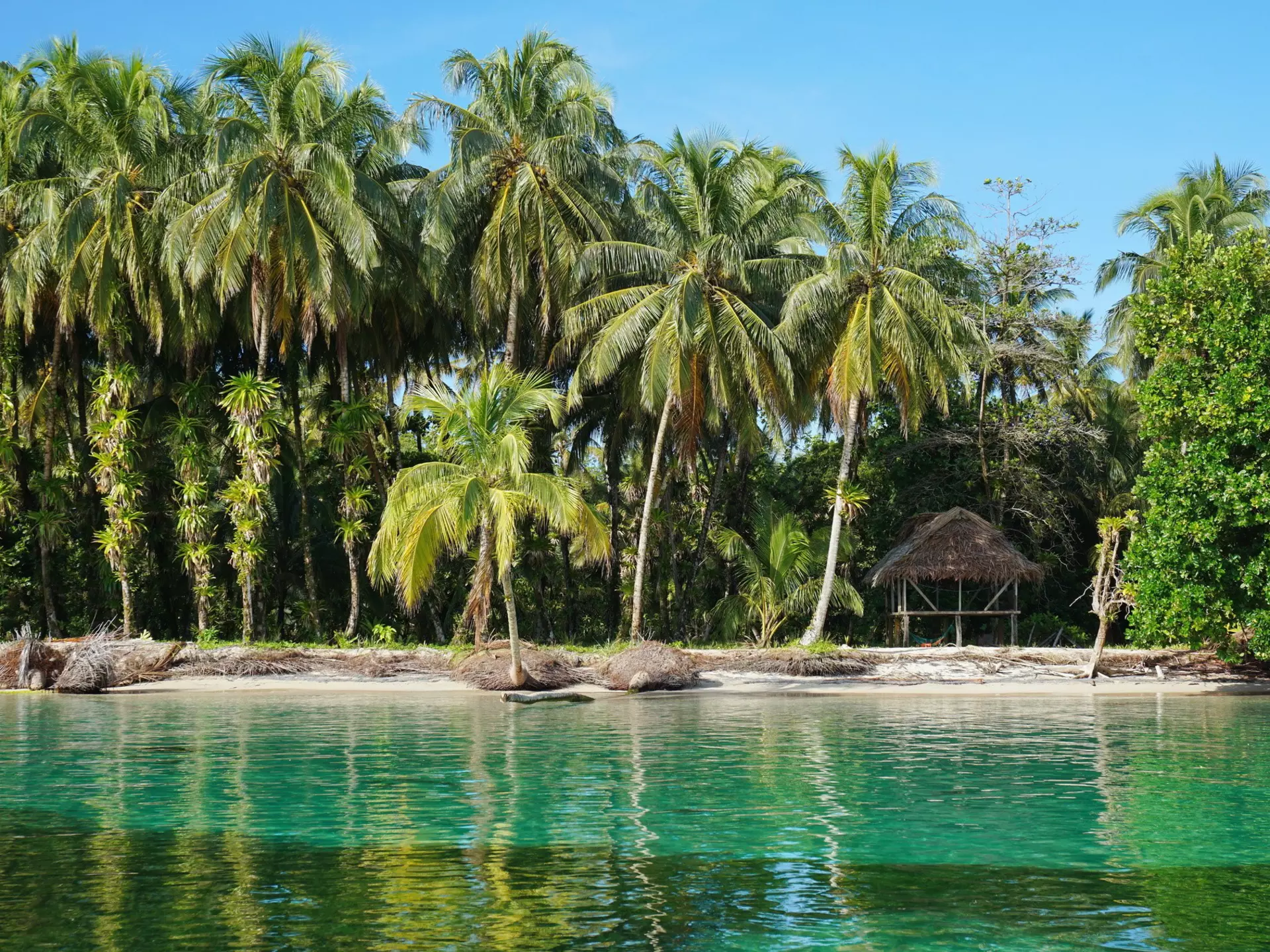 Bocas del Toro, Panama. Damsea / Shutterstock