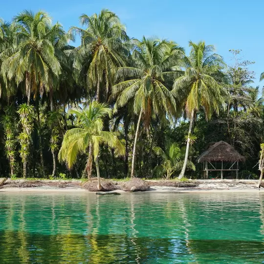 Tropical shore with lush coconut trees and a thatched hut, Caribbean, Zapatillas islands, Bocas del Toro, Panama