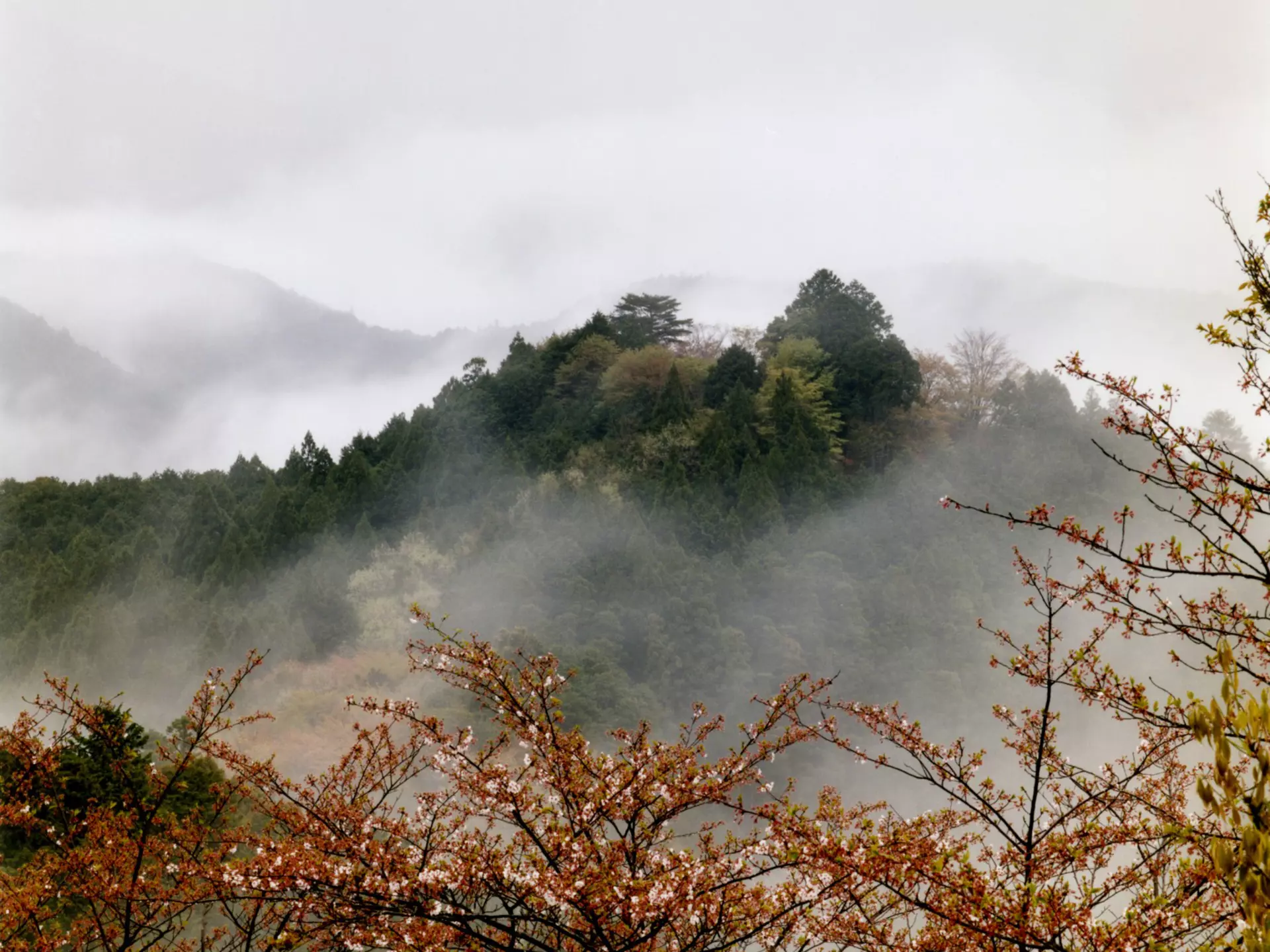 Hongu hills shrouded in mist on Kumano Kodo pilgrimage trail.
Lonely Planet Traveller Magazine, Issue 20, Japan, Perfect trip