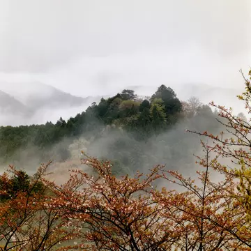 Hongu hills shrouded in mist on Kumano Kodo pilgrimage trail.
Lonely Planet Traveller Magazine, Issue 20, Japan, Perfect trip