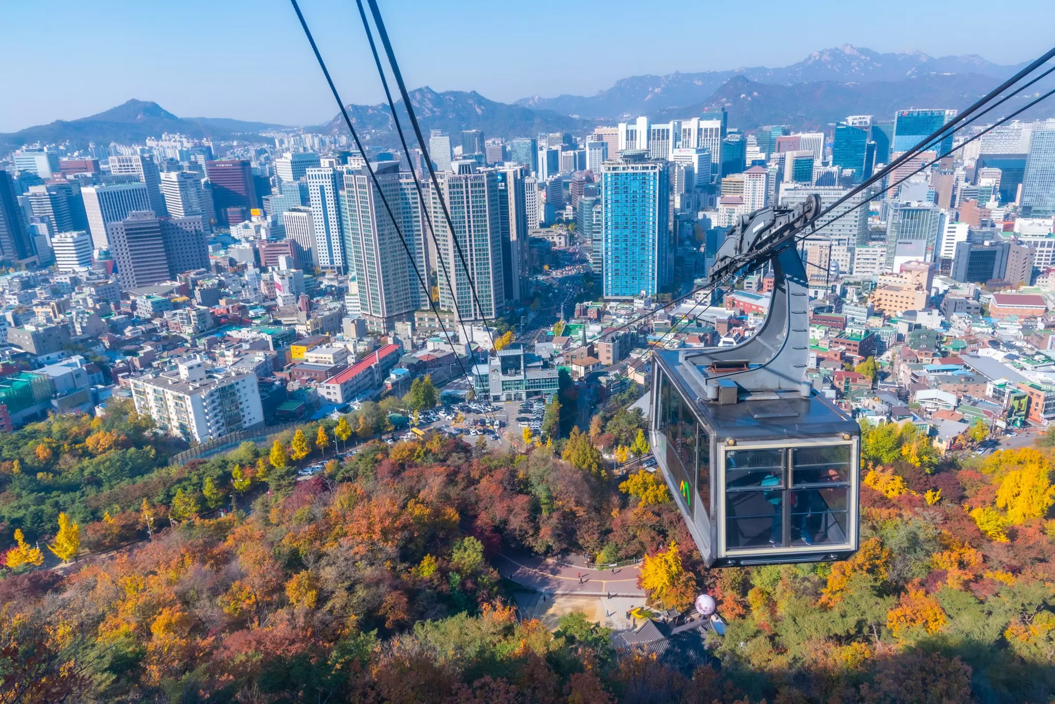 A cable car rises above a high-rise city in South Korea; trees with leaves in autumn colors are below.