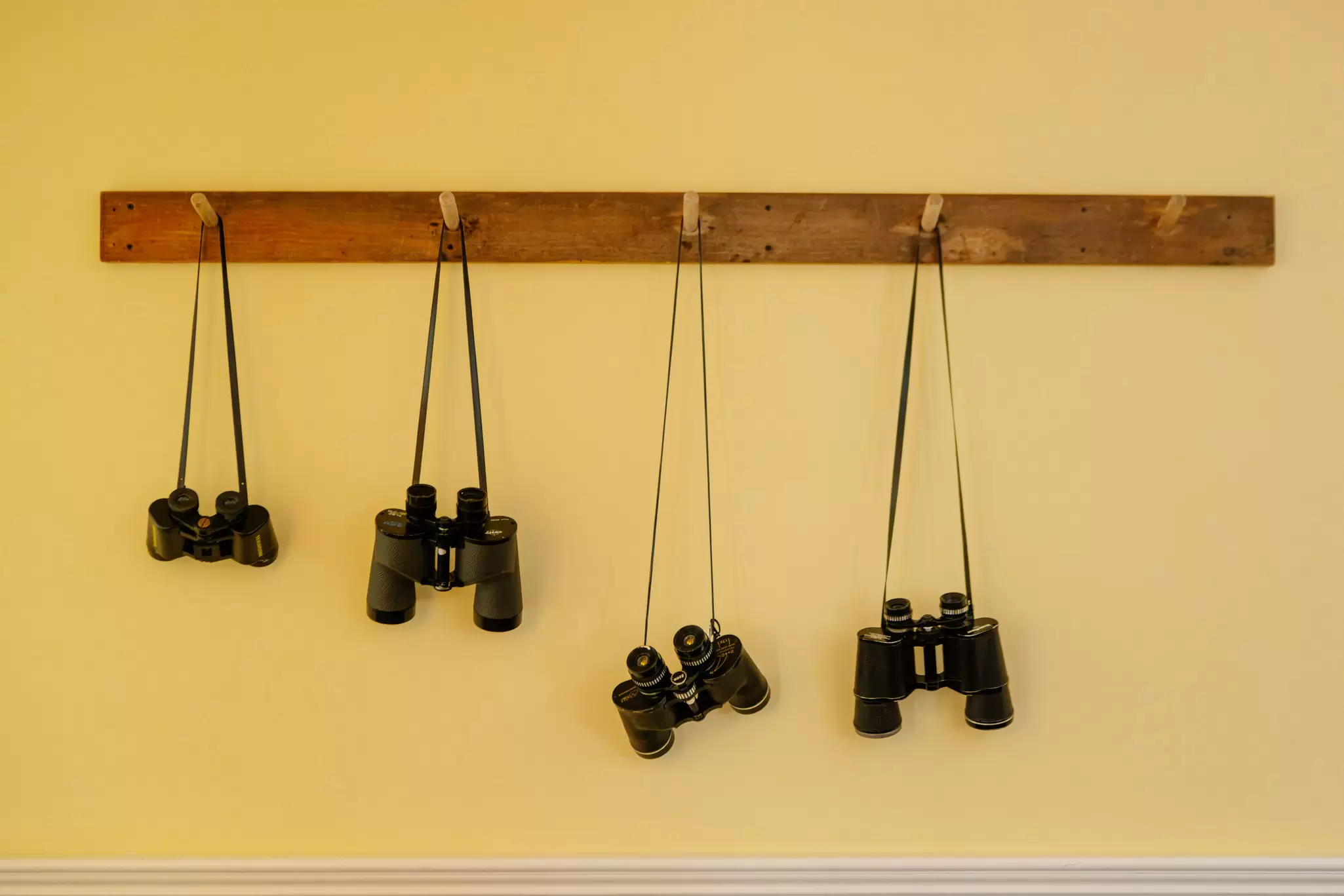 A yellow wall with binoculars hanging in a row - detail from Norman Bird Sanctuary, Rhode Island.