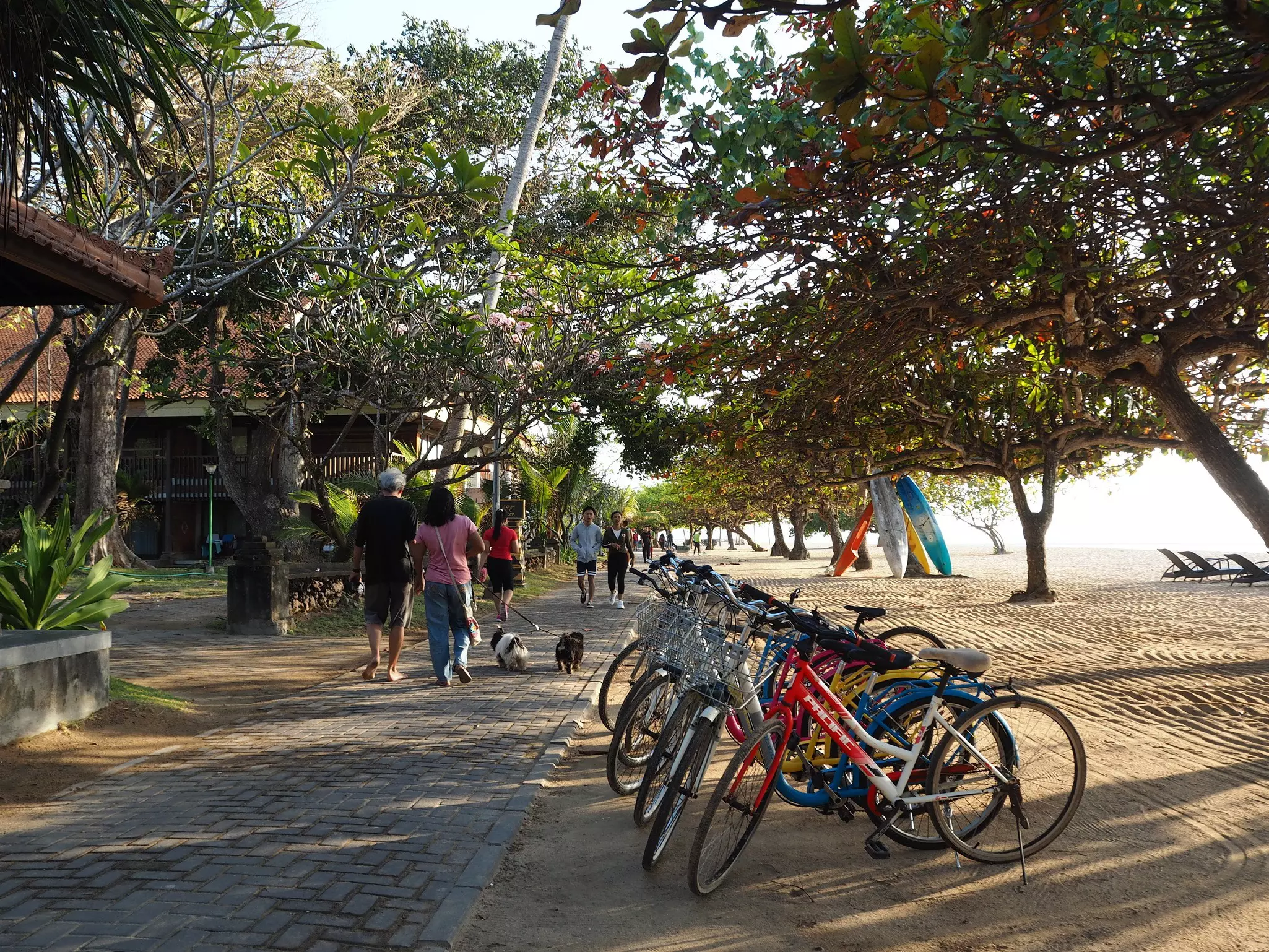 Bikes parked next to Sanur Beach in Bali.