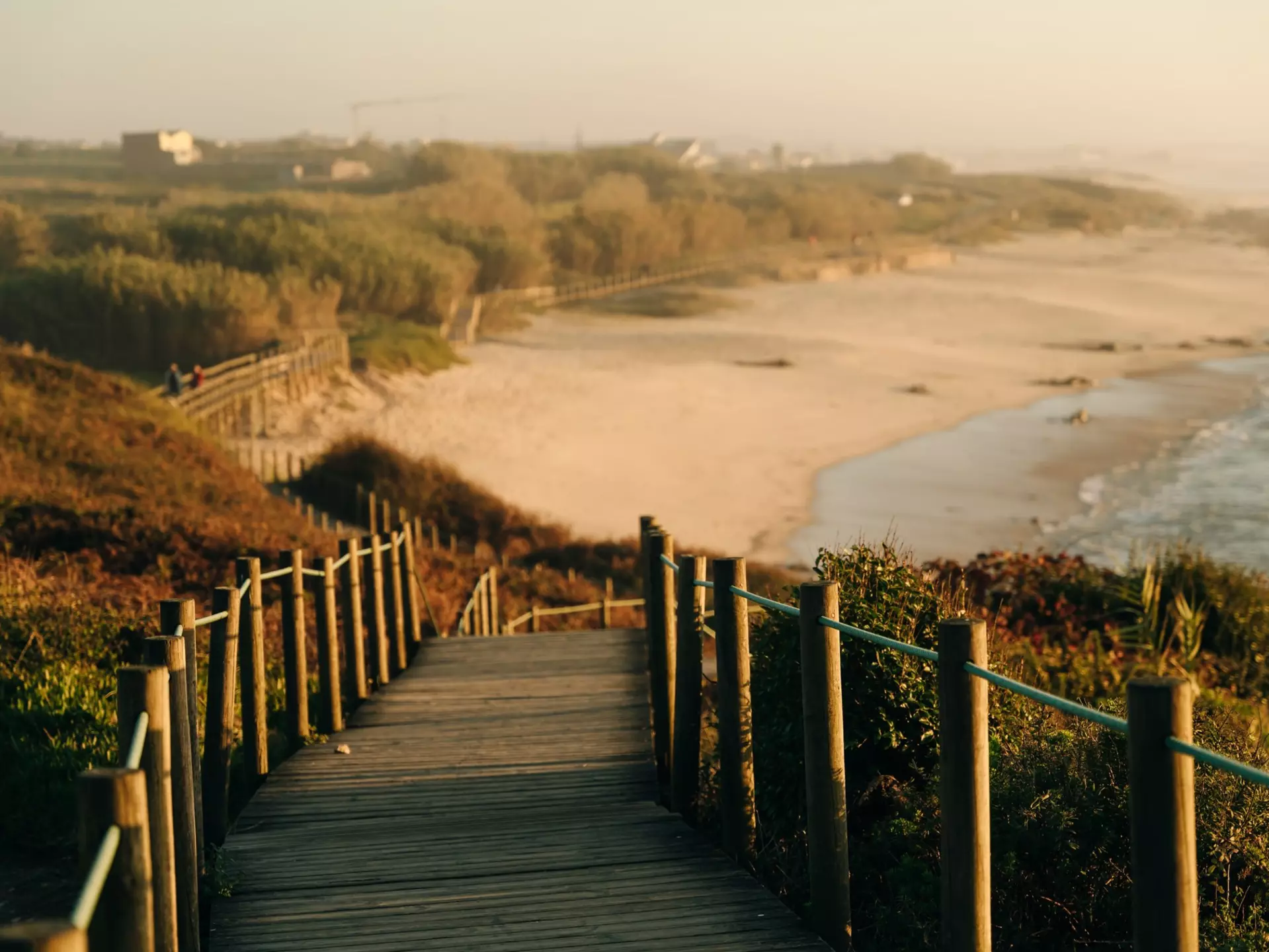 Along the coastal route of the Portuguese Camino de Santiago. Brester Irina/Shutterstock