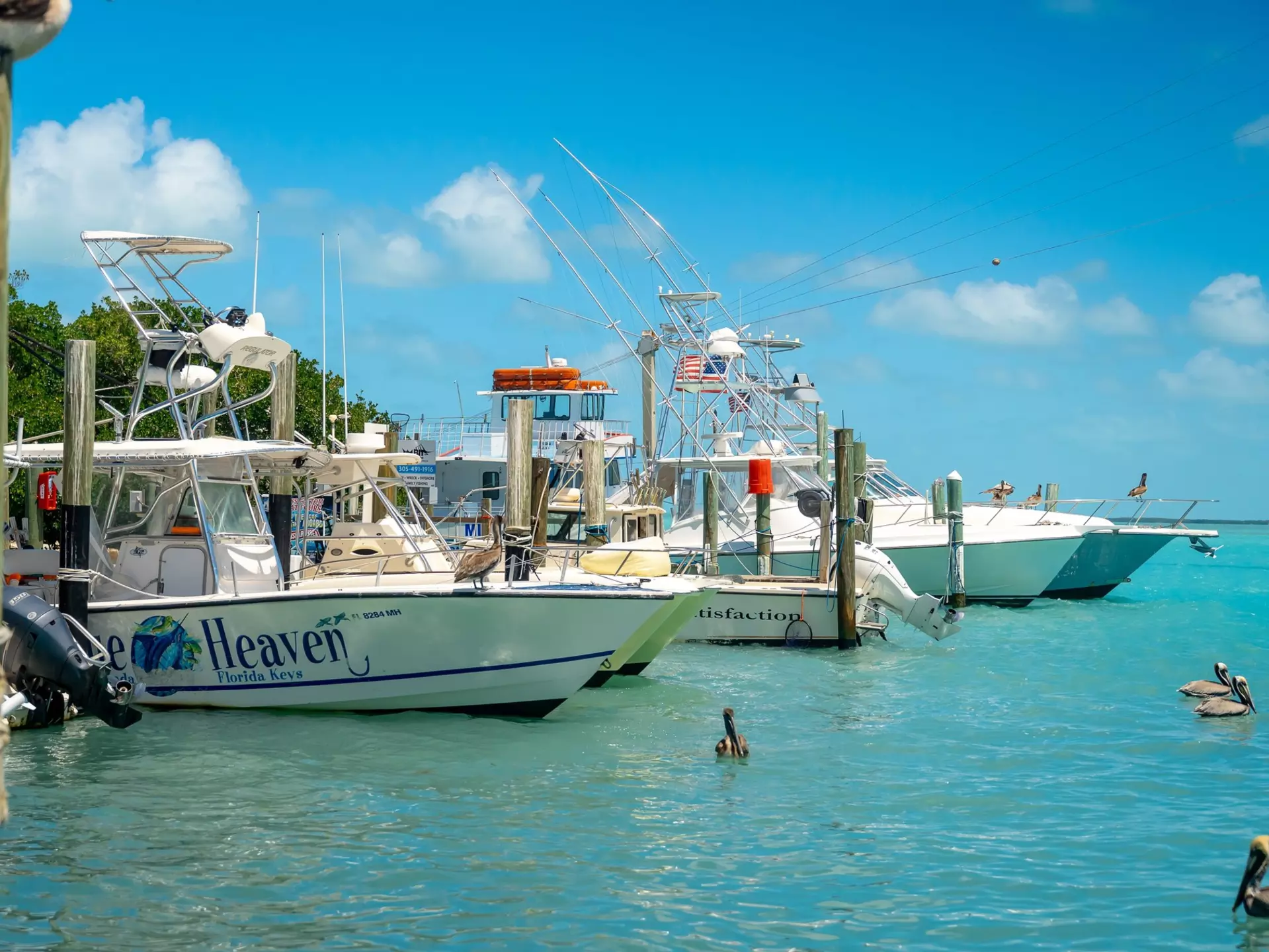 Fishing boats are moored in the turquoise waters of a port. Pelicans swim in the water around them.