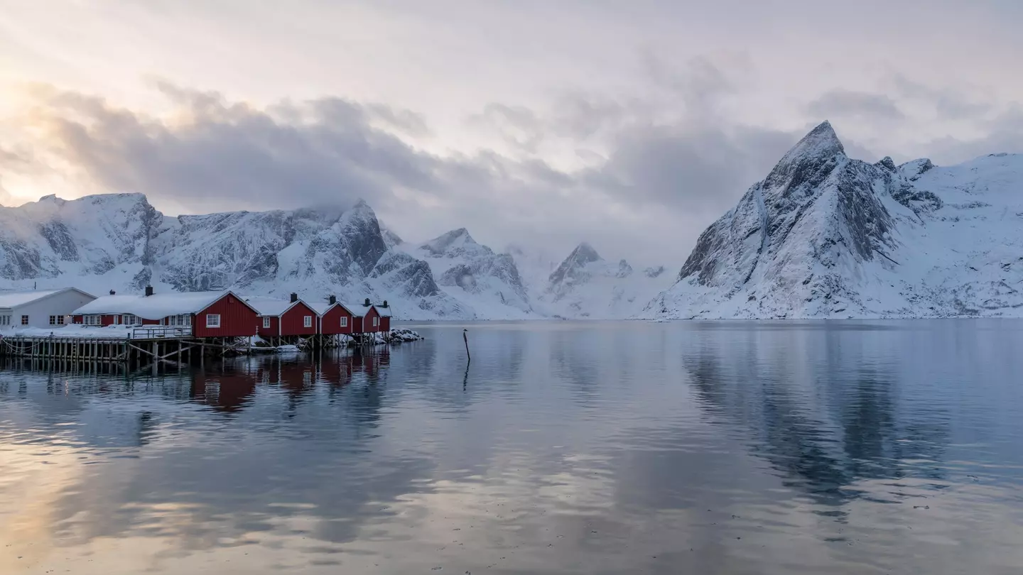 The frosted sides of the building give it a distinctive look © Shulin Architectural Design / Dezeen Awards 2020 longlist
