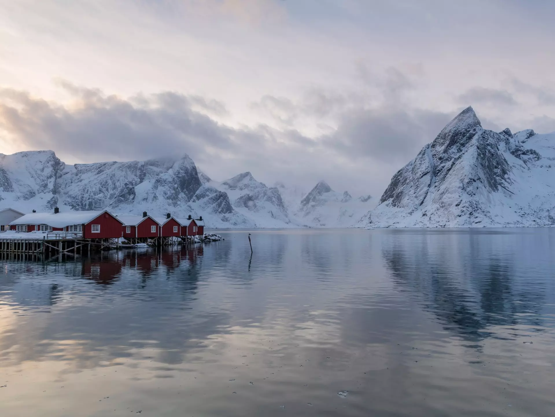 The frosted sides of the building give it a distinctive look © Shulin Architectural Design / Dezeen Awards 2020 longlist