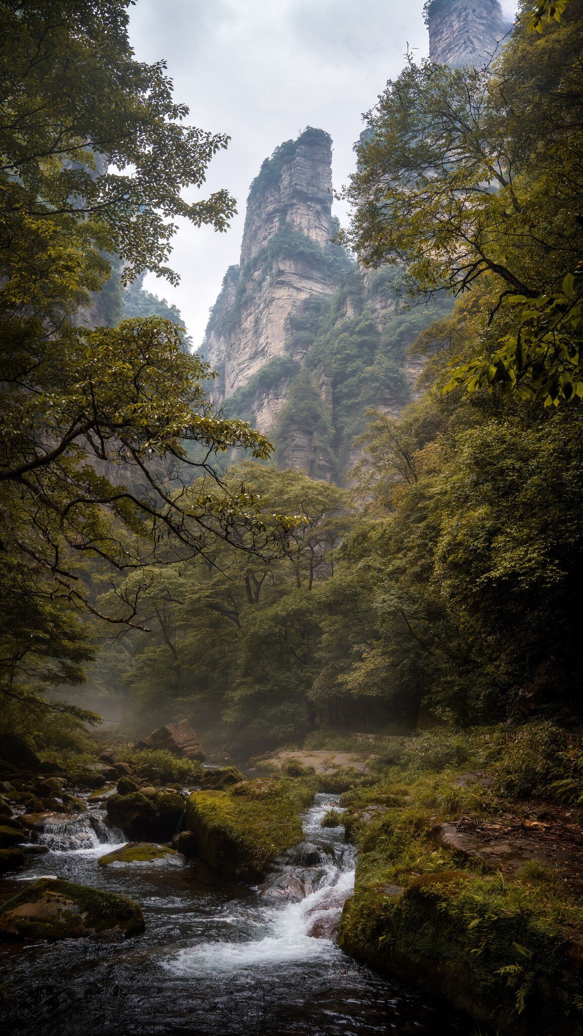 Zhangjiajie National Forest Park towering stone pillars, with a rushing stream in the foreground surrounded by trees