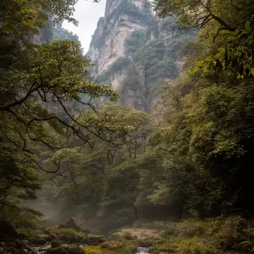 Zhangjiajie National Forest Park towering stone pillars, with a rushing stream in the foreground surrounded by trees
