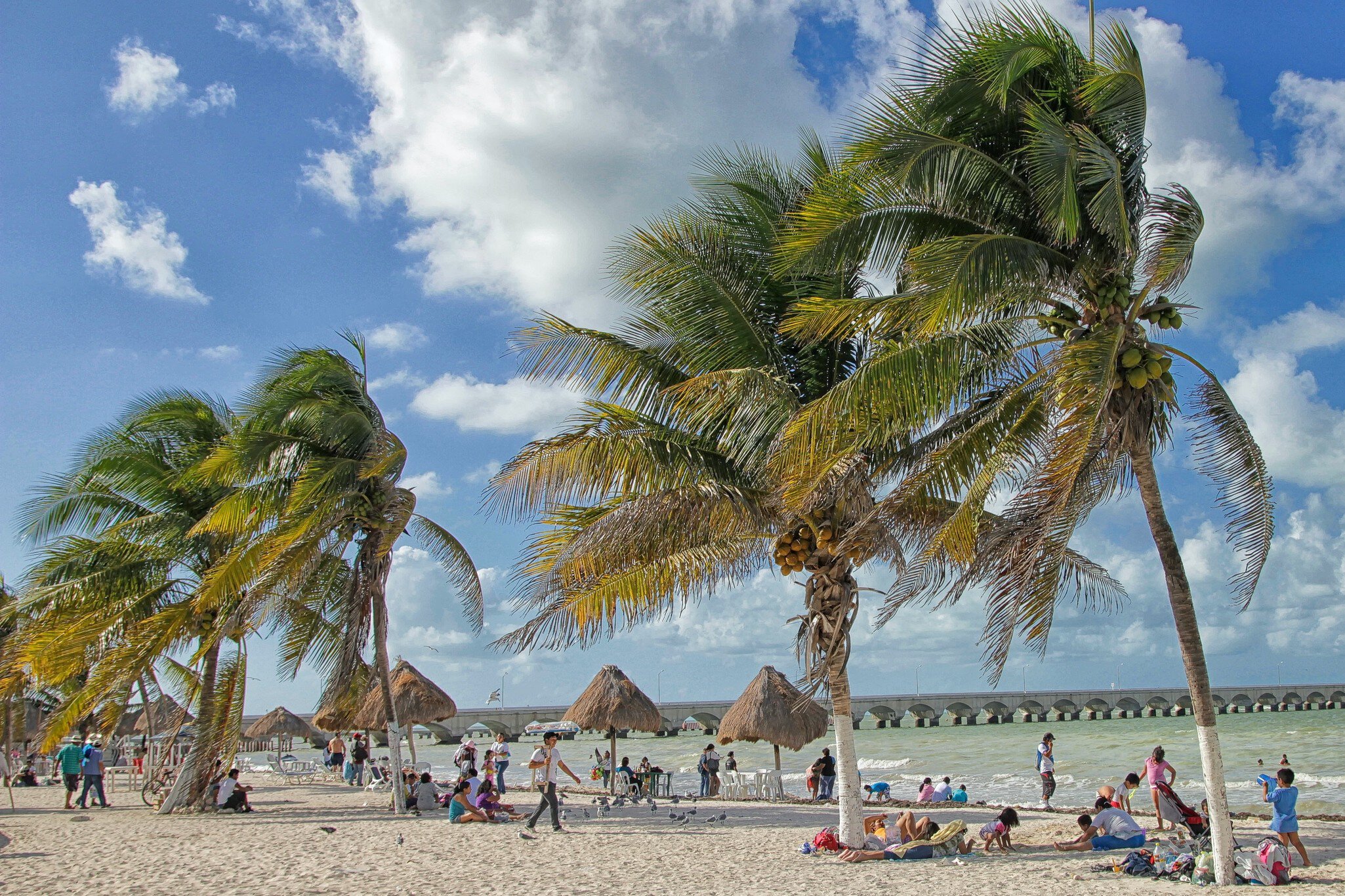 Beach at Progreso