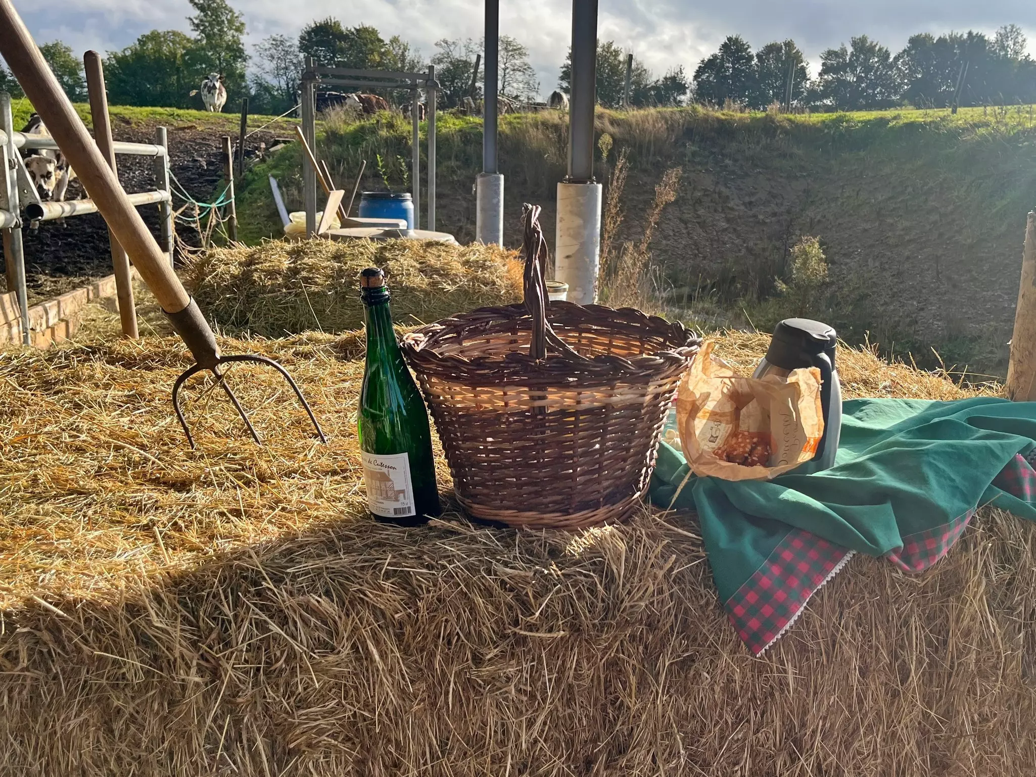 A real farm-to-table spread at La Ferme de l'Instière © AnneMarie McCarthy / Lonely Planet