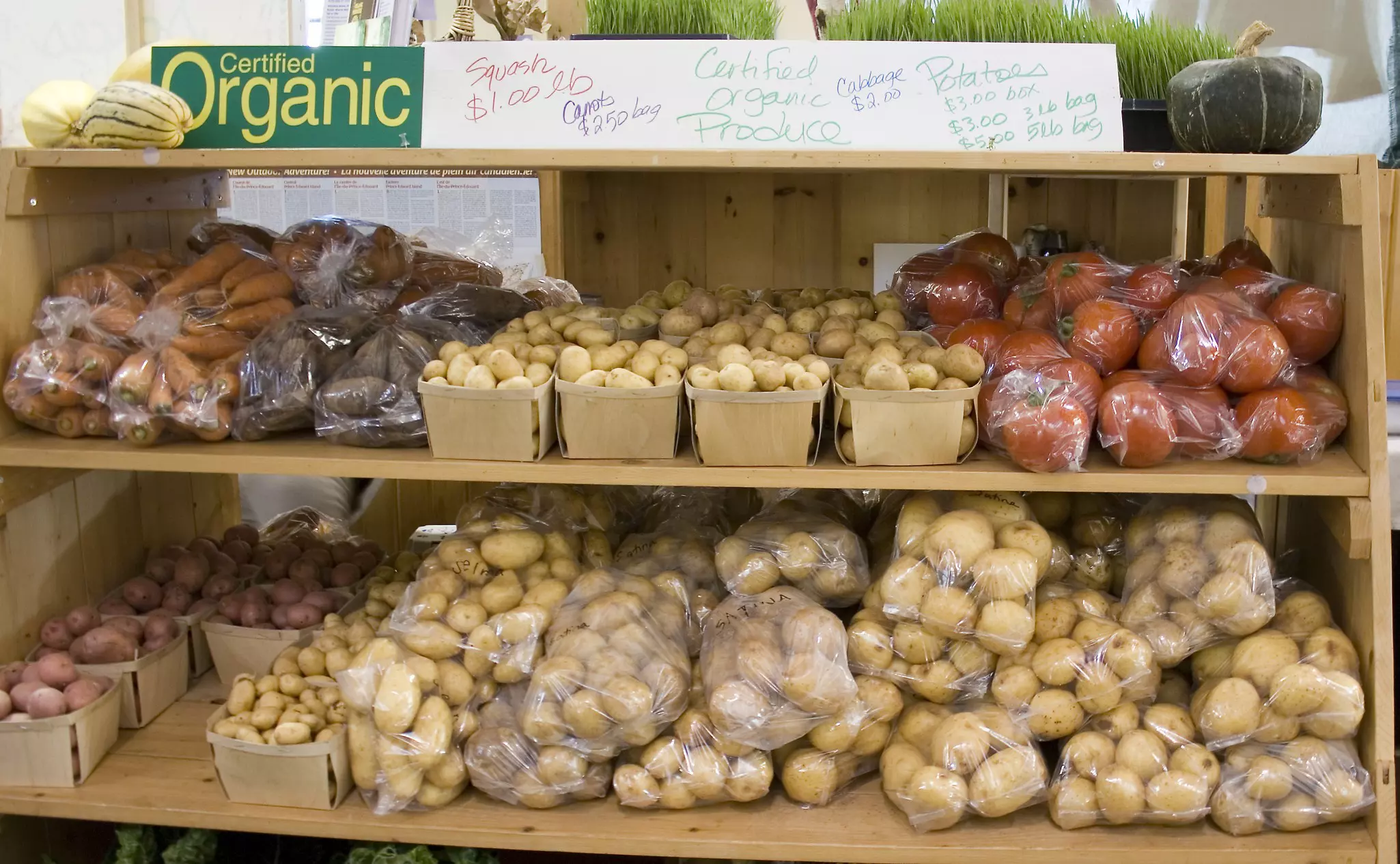 Shelves at a market display a variety of potatoes for sale.