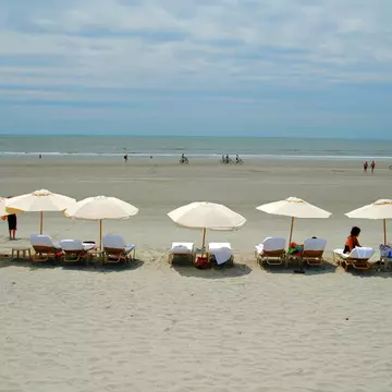 Umbrellas on beach at Kiawah Island near Charleston, SC, 