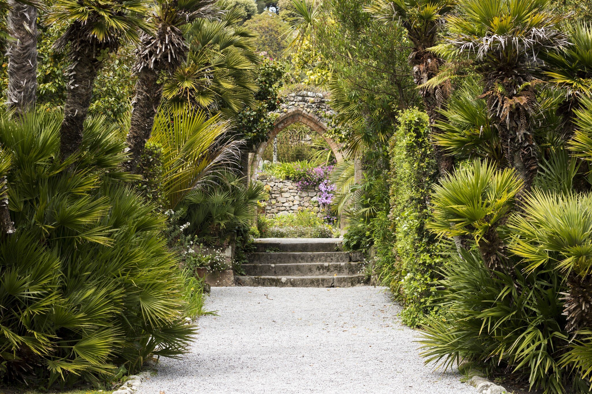 Tresco Abbey Gardens in the Scilly Isles; Shutterstock ID 637439833; your: Sloane Tucker; gl: 65050; netsuite: Online Editorial; full: POI
