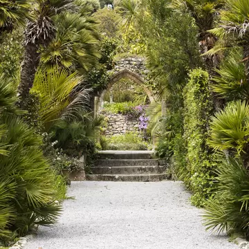 Tresco Abbey Gardens in the Scilly Isles; Shutterstock ID 637439833; your: Sloane Tucker; gl: 65050; netsuite: Online Editorial; full: POI