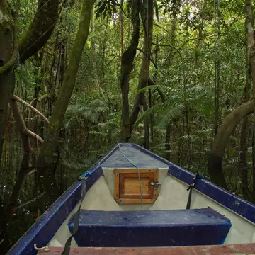 View of the rainforest near Puerto Narino at Amazonas river in Colombia from an excursion boat