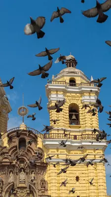 Birds fly around a yellow pillar on a religious building in Lima, Peru.