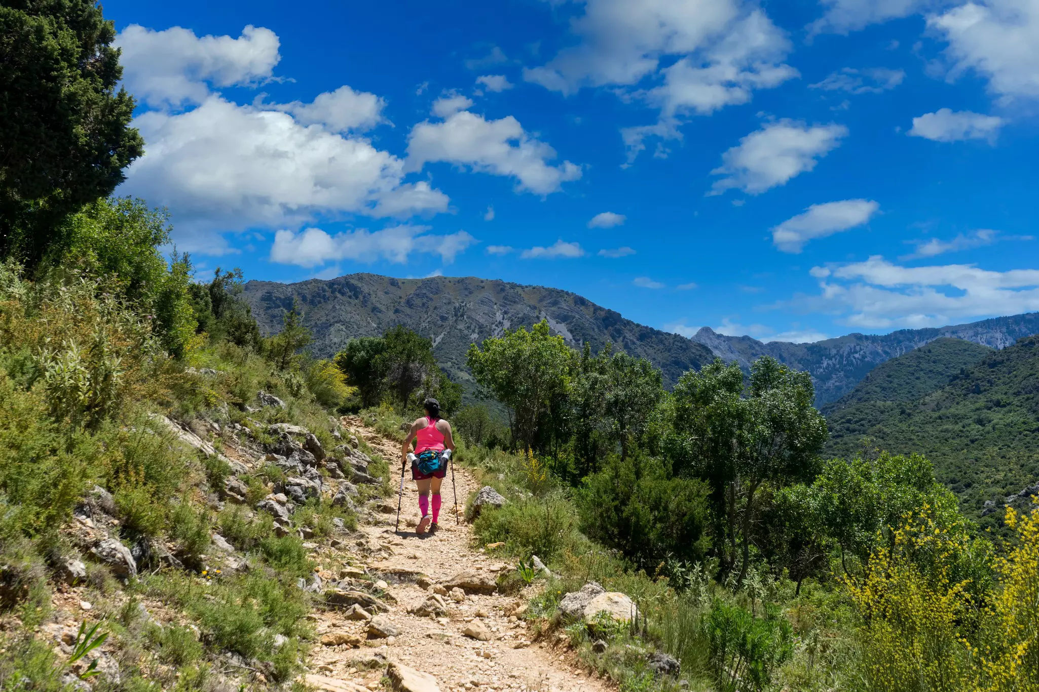 The Sierra de Grazalema natural park in the province of Cadiz, Andalusia, Spain, License Type: media_digital, Download Time: 2024-10-03T06:33:45.000Z, User: claramonitto, Editorial: false, purchase_order: 56530, job: Global Publishing-WIP, client: Experience Andalucia 2, other: Clara Monitto