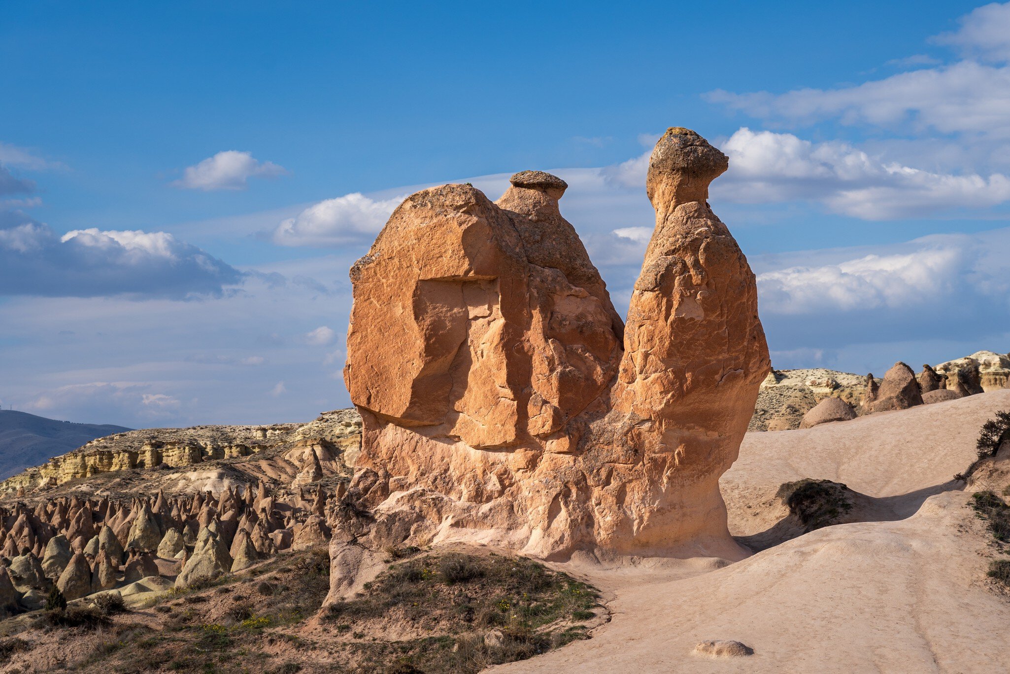 A tall pinkish rock shaped like a sitting camel stands above a field of pointed cones under a cloud-streaked blue sky